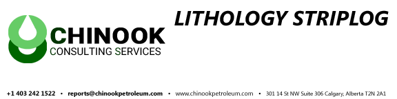 Chinook Consulting banner